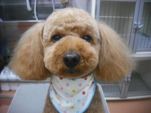 ファイル 3146-1.jpg