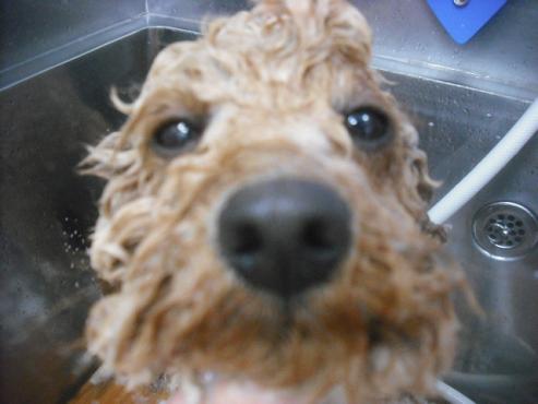 ファイル 3146-2.jpg