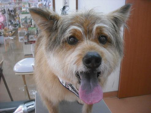 ファイル 3147-1.jpg