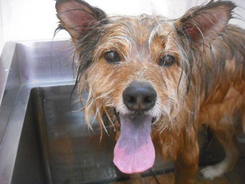 ファイル 3147-2.jpg