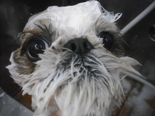 ファイル 3148-2.jpg