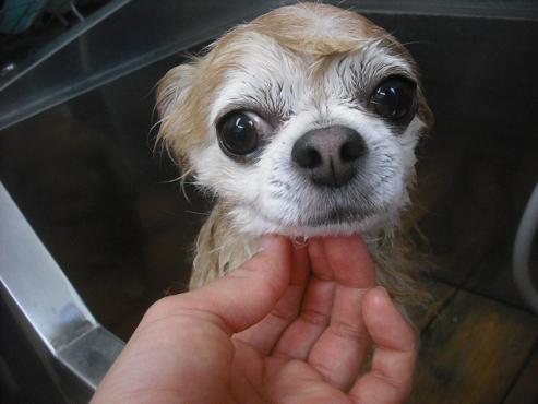 ファイル 3149-2.jpg