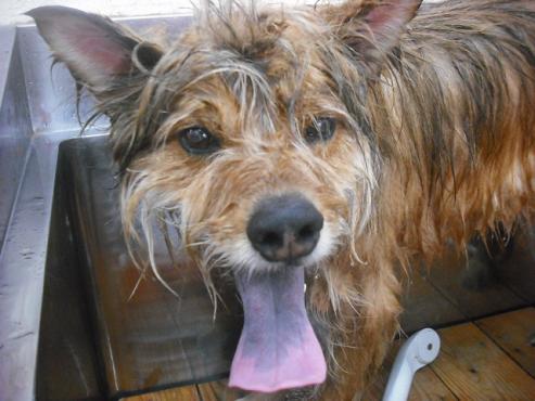 ファイル 315-2.jpg