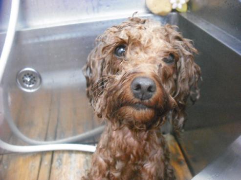 ファイル 3150-2.jpg