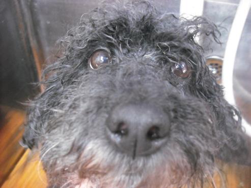 ファイル 3151-2.jpg