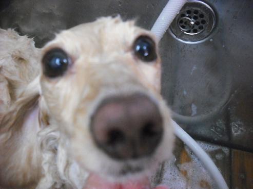 ファイル 3153-2.jpg