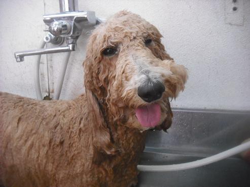 ファイル 3154-2.jpg