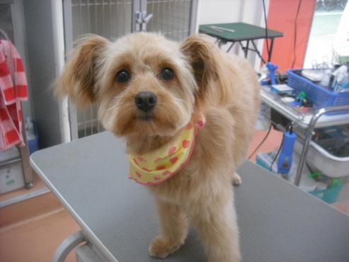 ファイル 3157-1.jpg