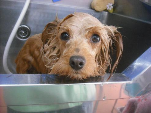 ファイル 3157-2.jpg