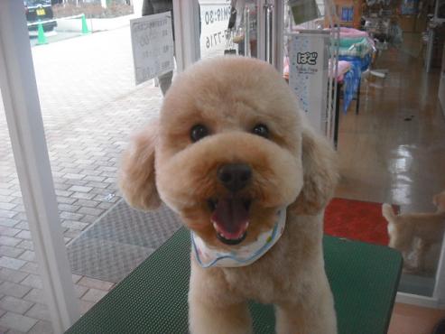 ファイル 3158-1.jpg