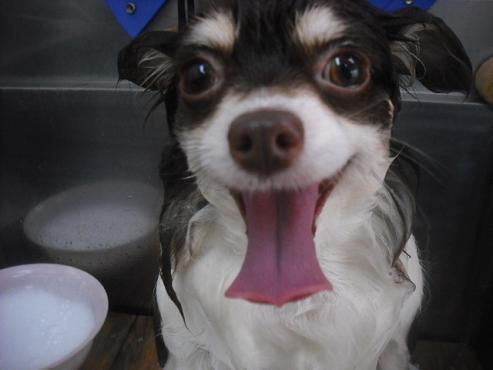 ファイル 3159-2.jpg