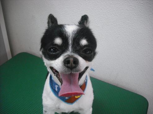 ファイル 316-2.jpg