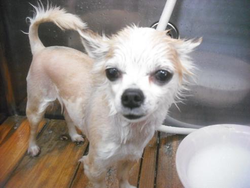 ファイル 3160-2.jpg