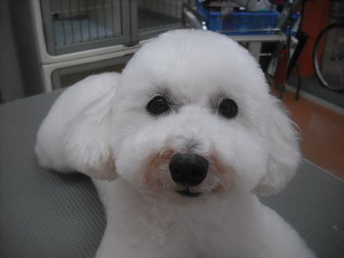 ファイル 3162-1.jpg