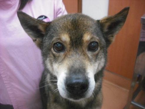 ファイル 3163-1.jpg