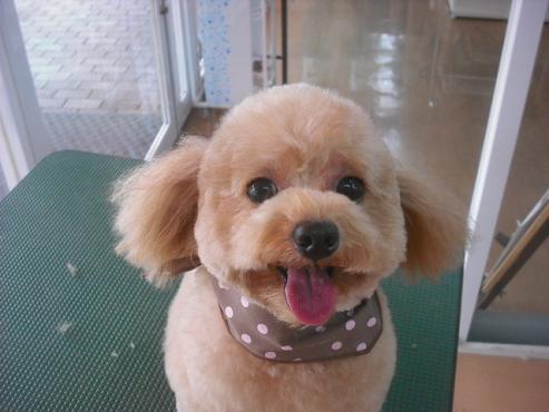 ファイル 3164-1.jpg