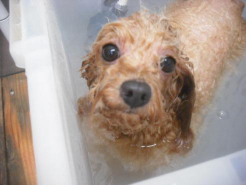 ファイル 3164-2.jpg