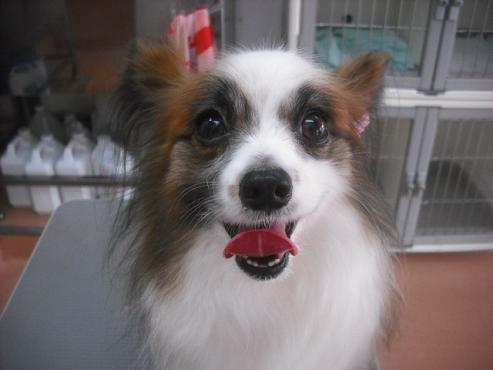 ファイル 3165-1.jpg