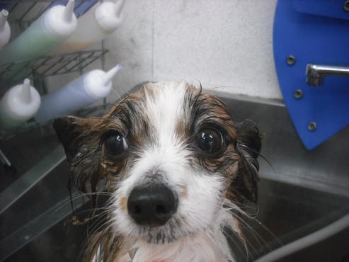 ファイル 3165-2.jpg