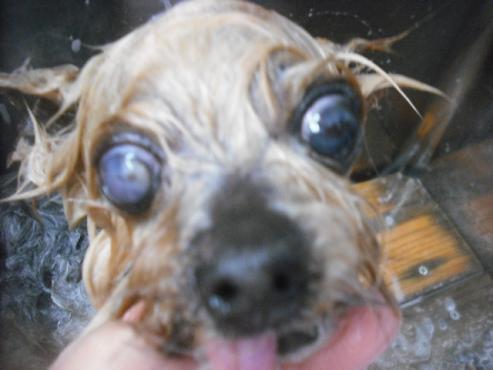 ファイル 3166-2.jpg