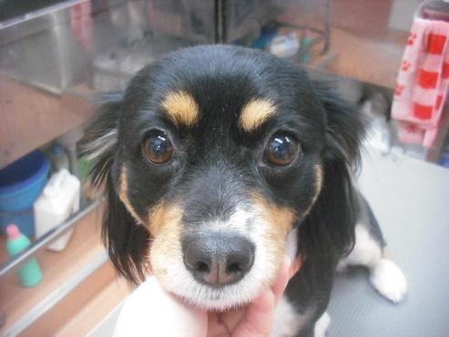 ファイル 3167-1.jpg