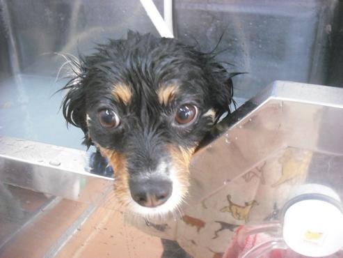 ファイル 3167-2.jpg