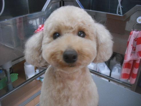 ファイル 3168-1.jpg