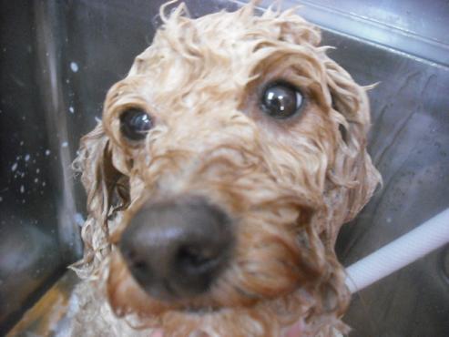 ファイル 3168-2.jpg