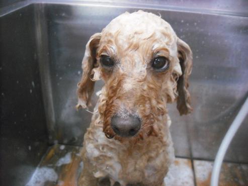 ファイル 3169-2.jpg