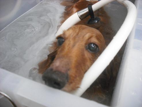 ファイル 317-2.jpg