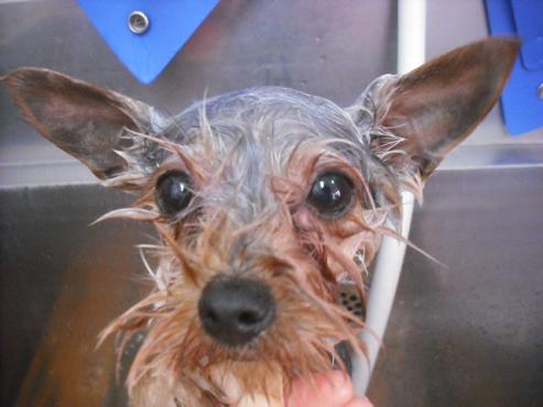 ファイル 3170-2.jpg