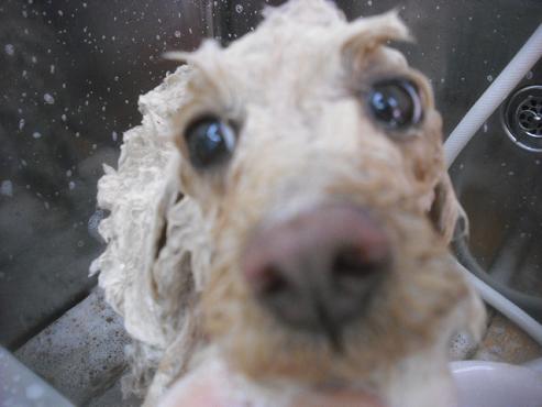 ファイル 3171-2.jpg