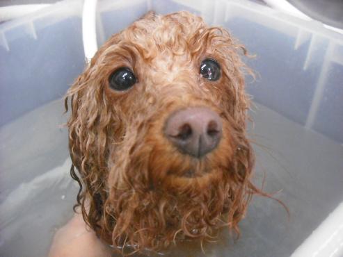 ファイル 3173-2.jpg