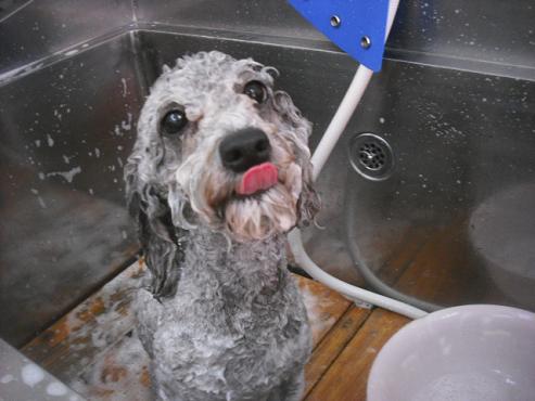 ファイル 3174-2.jpg