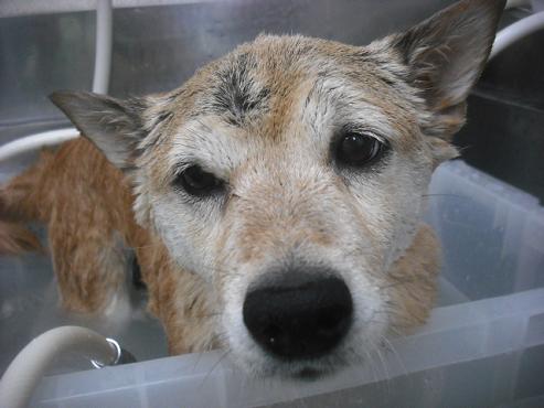 ファイル 3178-2.jpg