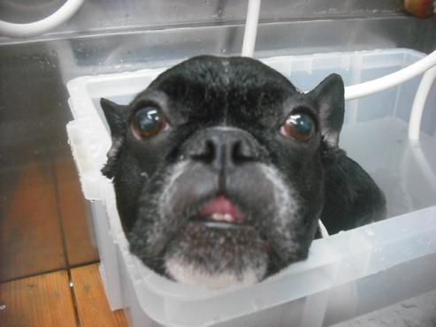 ファイル 3179-2.jpg