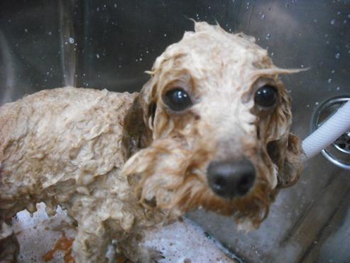 ファイル 318-3.jpg