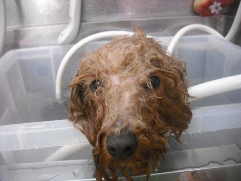 ファイル 3180-2.jpg