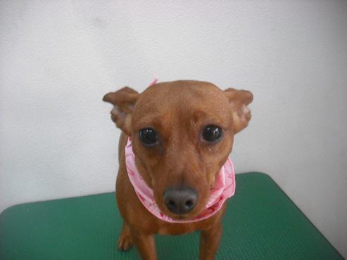 ファイル 3181-1.jpg