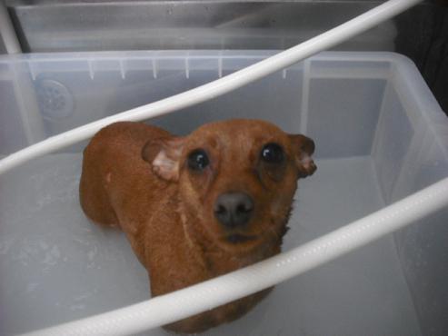 ファイル 3181-2.jpg