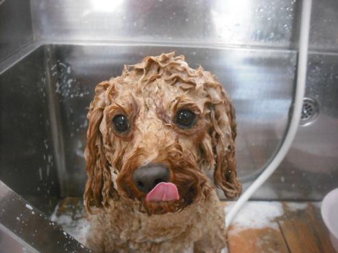 ファイル 3182-2.jpg