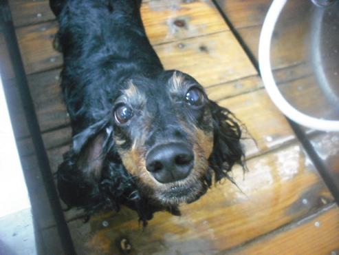 ファイル 3184-2.jpg