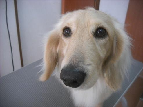 ファイル 3185-1.jpg