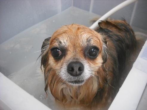 ファイル 3186-2.jpg