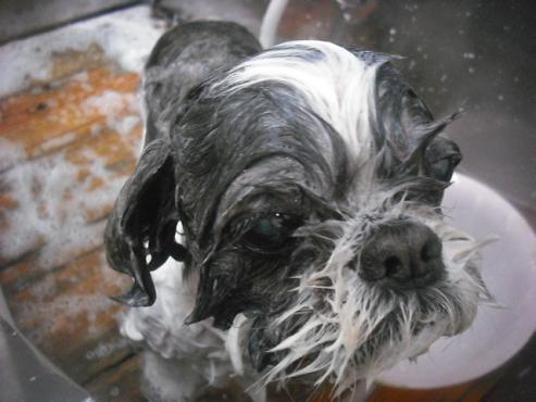 ファイル 3187-2.jpg