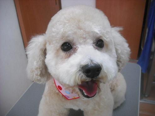 ファイル 3188-1.jpg