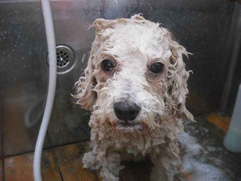 ファイル 3188-2.jpg