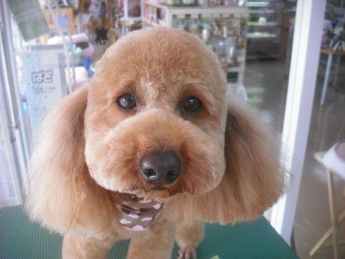 ファイル 3189-1.jpg