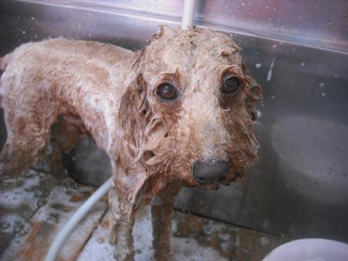 ファイル 3189-2.jpg