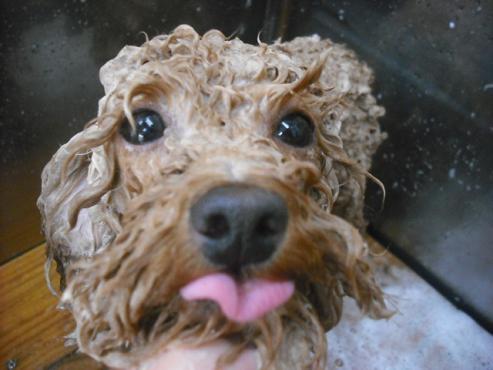 ファイル 319-3.jpg